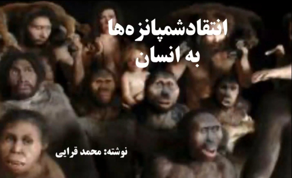 داستان انتقاد شمپانزه‌ها به انسان